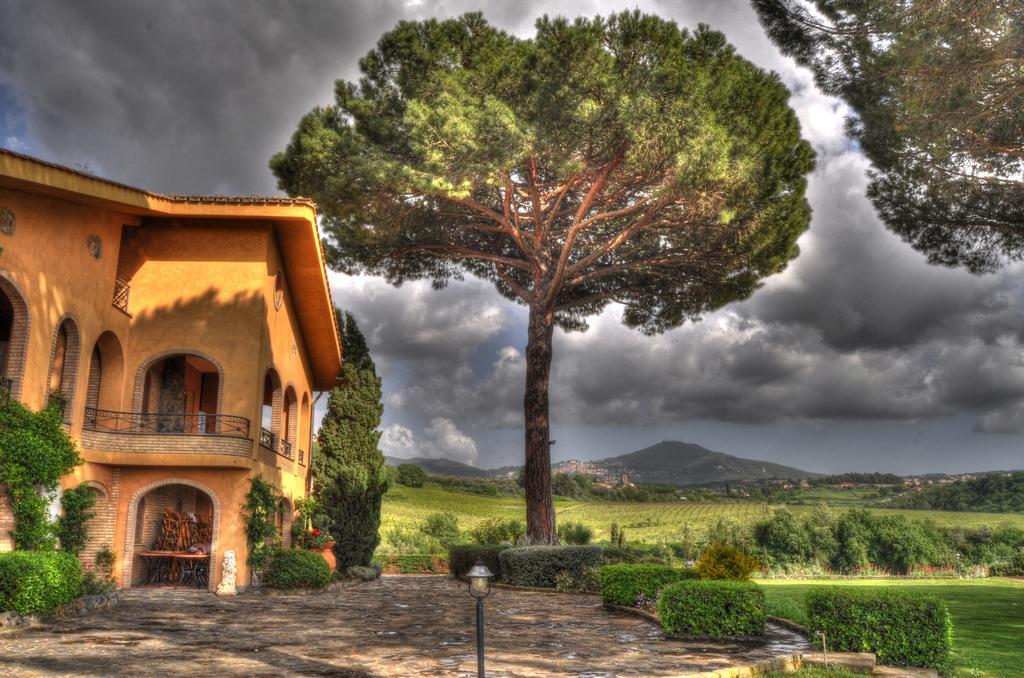 Tenuta Cusmano * Grottaferrata